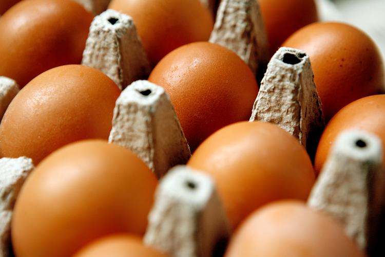 Forbrugere, der ikke har lyst til få en gang insektmiddel med i pandekagedejen eller morgenægget,  skal gå efter friske danske æg.
   