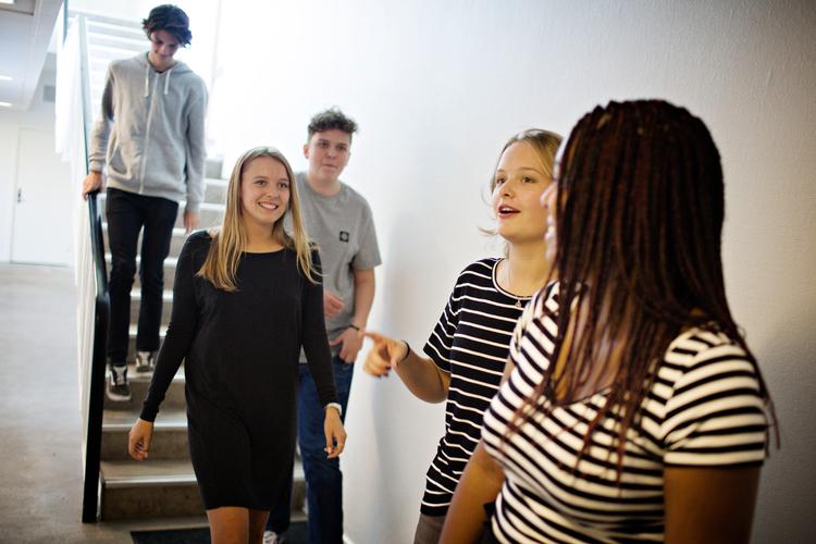 Lennart, Mathilde, Marius, Sofia og Melanie er lige startet på Helsingør Gymnasium. Men hvad de ikke vidste, da de mødte op til første skoledag, var, at de ikke skal have karakterer i hverken 1. eller 2.g. Foto: Martin Lehmann 