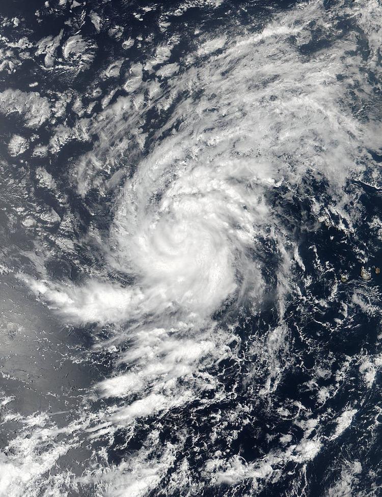 Dette billede fra Nasa viser Irma på vej over Atlanterhavet. 