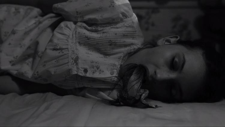 Lynch elsker kryb, og i 'Twin Peaks: The Return' kribler det med besøg fra Lynchs gamle kunstværker. Blandt andet et bevinget dyr, der kravler ind i munden på en pige. Det genkender man fra den fiktive guidebog 'An Access Guide to the Town’ og fra kunstbogen ’David Lynch Works on Paper’. 