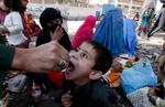 Afghanistan er et af de brændpunkter, hvor flygtninge mangler mad og vand, påpeger Røde Kors. Her får en afgansk dreng en poliovaccine i et UNHCR-center i Pakistan. 
   