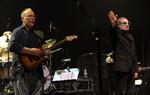 Guitarist Walter Becker (tv.) og Donald Fagen, der sammen siftede bandet Steely Dan.    