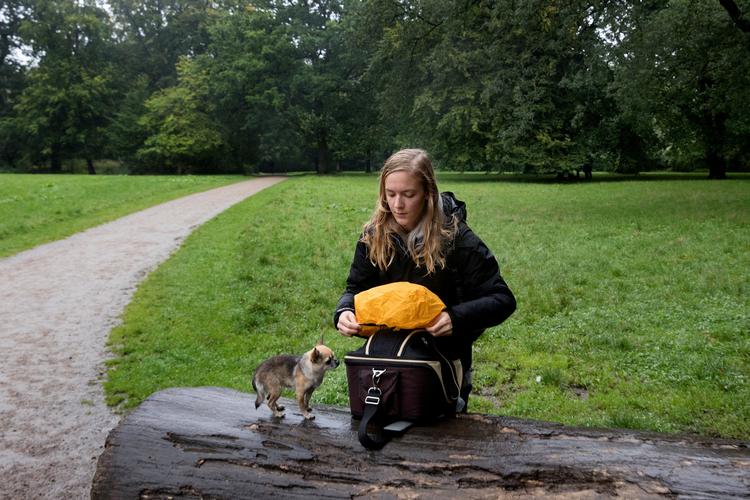 
Johanne Vinding var hjælpeløs mens hun tog sin HF-eksamen. Og vi kan alle ende på gaden, mener Johanne her sammen med sin faste ledsager, hunden Ollie 