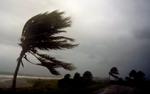 Der er foreløbig målt vindstød på 119 km/t, men når Irma for alvor går i land i Florida ventes middelvindhastigheder på næsten 200 km/t.  