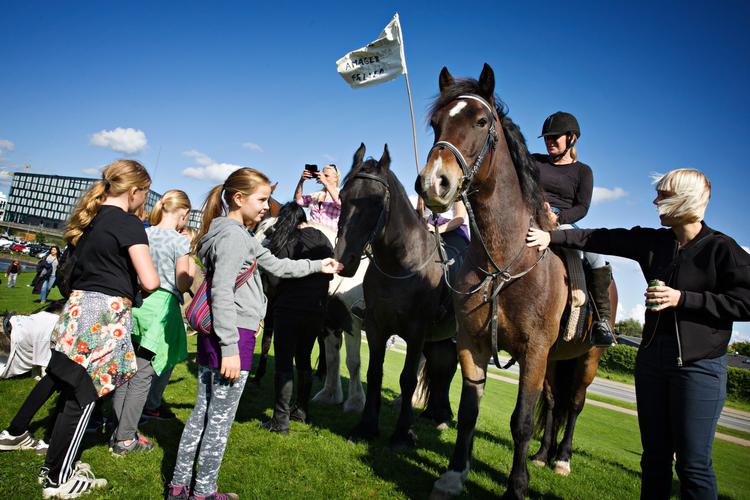 Der var også underholdning for de mindste, da Amager Fælleds Venner i dag indbød til protestfestival over planerne om et byggeri på et hjørne af fælleden. 