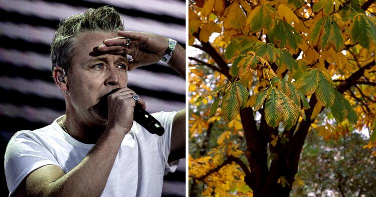 Foto Miriam Dalsgaard Niels Hougaard