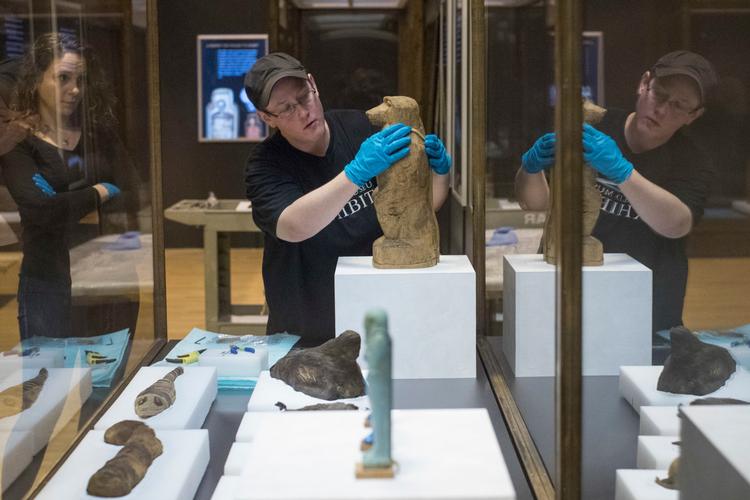 Her er en medarbejder på American Museum of Natural History ved at klargøre en udstilling om mumier.   