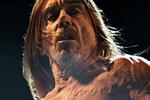 Iggy Pop har optrådt 20 gange i Danmark. I Aarhus, hvor han på billedet optræder til Northside, voksede hans morfar op. Arkivfoto Tobias Nicolai Kvist Larsen 