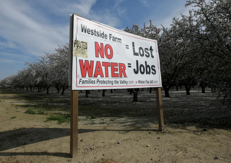 Californien har været hårdt ramt af tørke og vandmangel - en vandmangel, som ifølge dette skilt også har kostet jobs.  