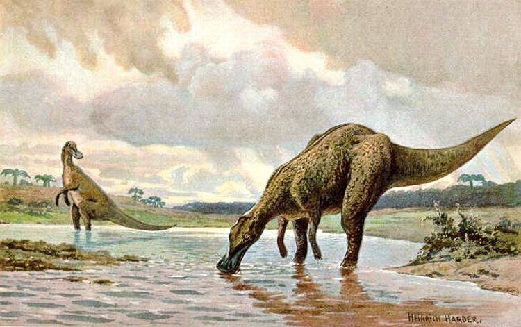 En nyt studie udfordrer tanken om, at fortidens planteædere som for eksempel hadrosaurus udelukkende spiste planter. Man har i 10 ud af 15 forstenede lorte fundet tydelige spor af skaldyr, som dinosaurerne har indtaget som en ekstra proteinrig snack.

 