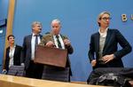
  AfD-partiledelsen fejrer valgsejren sidste år - siden er den daværende leder, Frauke Petry, længst til venstre, gået ud i protestmod linjen fra især Alice Weidel og Alexander Gauland forrest i billedet.ichael Sohn)
   