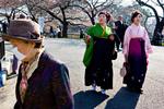 Ny bog af den mangeårige Japan-korrespondent Asger Røjle Christensen giver en glimrende indføring i hverdagslivet i det japanske samfund. Arkivfoto Stine Bidstrup/Polfoto