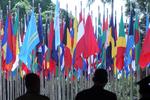 Det palæstinensiske flag vil i fremtiden veje blandt de øvrige medlemmer af Interpol. Arkivfoto fra Interpols generalforsamling i Indonesien sidste år.  