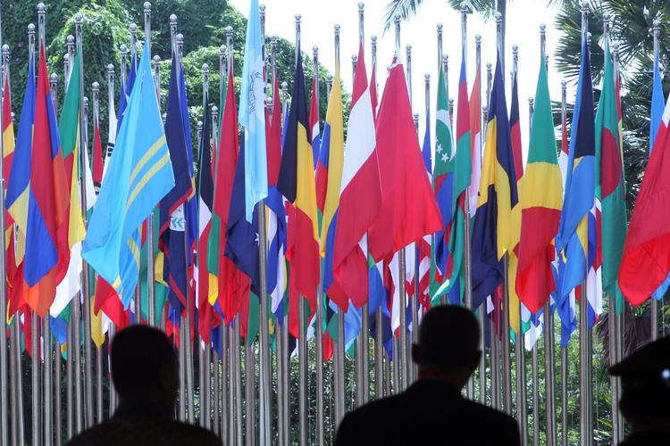 Det palæstinensiske flag vil i fremtiden veje blandt de øvrige medlemmer af Interpol. Arkivfoto fra Interpols generalforsamling i Indonesien sidste år.  