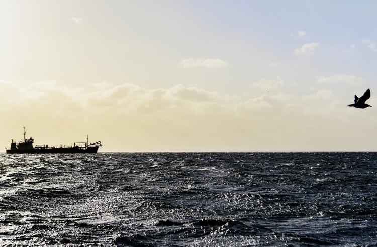 Tæt trafik.
40.000 skibe sejler nord om Bornholm hvert år. farvandet er det 3. mest trafikerede i Danmark, og skibene skal følge en særlig trafikseparering.
    Cicilie S. Andersen/POLFOTO