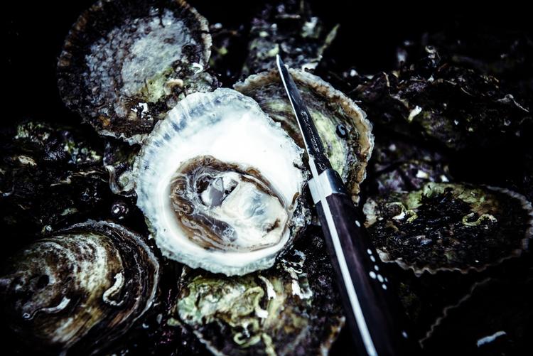 Vidste du, at vi i 1870 spiste cirka syv millioner østers om året? Og at vi i dag spiser omkring 50.000? Nu kan du passende tage revanche, når Oyster Trophy Week starter sammen med efterårsferien.  Pr-foto, Kasper Fogh