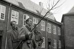 På dette arkivfoto fra 1954 plantes et nyt lindetræ i Regensens egen gårdhave. Arkivfoto Lars Hansen