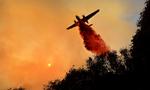California Wildfires