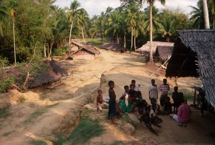 Papua Ny Guinea er et af de steder, hvor der i disse år forsvinder et sprog med korte mellemrum. 
   