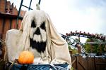 Halloween har fået tag i danskerne. Her fejres Magisk Halloween i Djurs Sommerland.

   