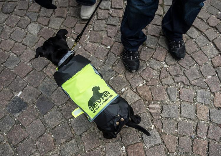 Demonstration foran Christiansborg mod hundeloven. ARKIVFOTO
   