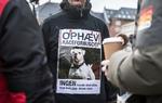 Hundeloven har vakt stærke følelser og skabt protestdemonstrationer som denne foran Folketinget, da loven blev revideret i 2013. 