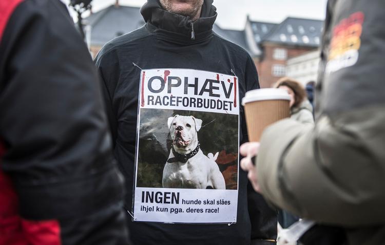 Hundeloven har vakt stærke følelser og skabt protestdemonstrationer som denne foran Folketinget, da loven blev revideret i 2013. 