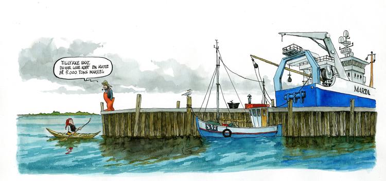 Politianmeldelserne af kvotekonger, som er blevet trukket tilbage, er baseret på mistanke om blandt andet stråmandsvirksomhed og dokumentfalsk. Illustration: Roald Als.  