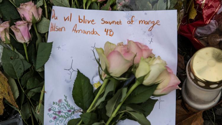 Den gravide Louise Borglit blev stukket ihjel, da hun var ude at lufte sin søsters hund i Elverparken 4. november sidste år.  