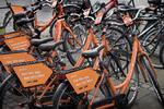 De mange Donkey Republic-bycykler i gadebilledet og i de kommunale stativer har været en torn i øjet på Københavns Kommune. Finn Frandsen/POLFOTO