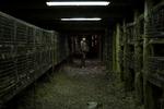 'Spoor' er en øko-thriller om en række mord, der begås i et bjerrigt område i det sydlige Polen. Filmen er én af 12 central- og østeuropæiske film, der kan opleves på Cinematekets filmfestival East by Southeast.  