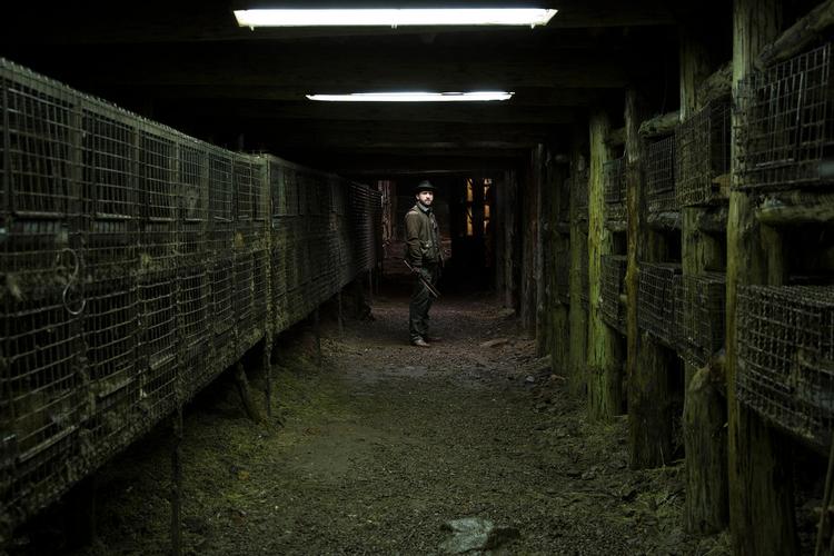 'Spoor' er en øko-thriller om en række mord, der begås i et bjerrigt område i det sydlige Polen. Filmen er én af 12 central- og østeuropæiske film, der kan opleves på Cinematekets filmfestival East by Southeast.  