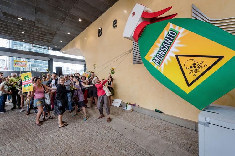 Undervejs i kampen om en ny godkendelse af glyphosat har der været demonstrationer i flere lande som her ved EU's hovedkvarter i Bruxelles.
   