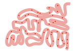 En sund og frodig bakteriekultur i tarmen er afgørende for, om kræftpatienter får en gevinst af en ny lovende kræftbehandling i form af immunterapi, viser to nye studier. Illustration: Claus Nørregaard 