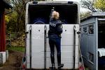 I 2012 blev rytterisektionen i Københavns Politi lukket. Hestene blev solgt og betjentene fik nye opgaver. Nu skal politiet igen
   