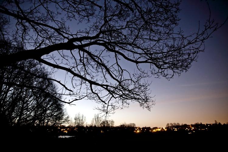Fredag er årets korteste dag. Her ses Utterslev Mose nord for København ved vintersolhverv sidste år. 
   