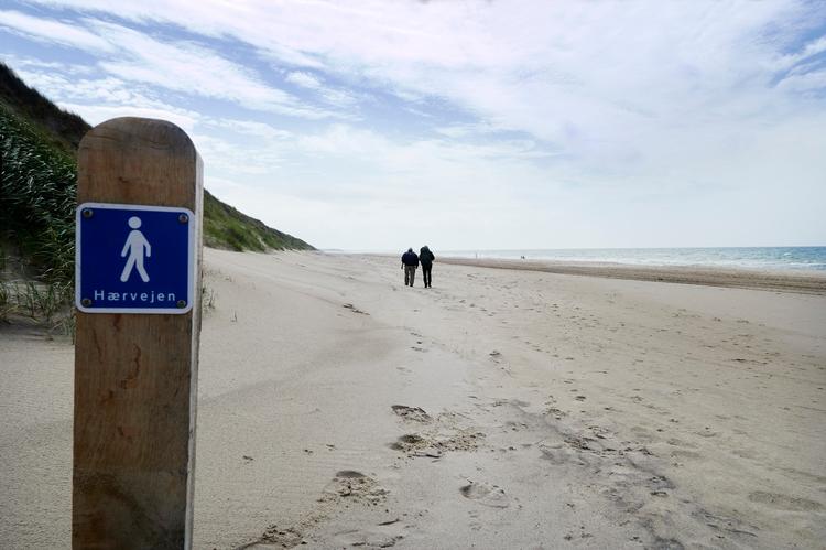 ARKIVFOTO. Det er ikke langt fra Tornby Klitplantage, Lønstrup, at hærværket af det fredede område er sket.    