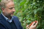 Tomatdirektør Mads Pedersen er stolt af samarbejdet med verdens næststørste producent af medicinsk cannabis.  