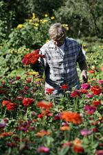 Søren Ryge var lige begyndt på Nordisk Institut, da ungdomsoprøret rullede. Men han var mere optaget af at gøre indtryk på sin kommende kone og svigermor og brugte derfor al sin tid på at anlægge have, mens verden omkring ham forandrede sig.  
