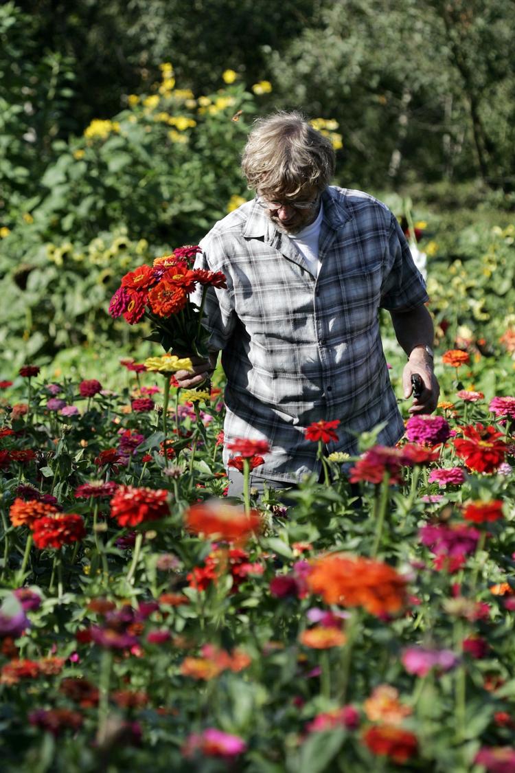 Søren Ryge var lige begyndt på Nordisk Institut, da ungdomsoprøret rullede. Men han var mere optaget af at gøre indtryk på sin kommende kone og svigermor og brugte derfor al sin tid på at anlægge have, mens verden omkring ham forandrede sig.  