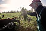 
    84-årige Niels Stokholm har siden 1975 drevet biodynamisk landbrug i Dronningmølle. Nu har Lonely Planet besøgt ham og hans dyr i Nordsjælland. 