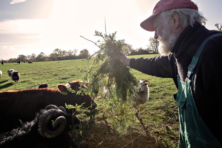 
    84-årige Niels Stokholm har siden 1975 drevet biodynamisk landbrug i Dronningmølle. Nu har Lonely Planet besøgt ham og hans dyr i Nordsjælland. 