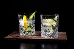 Gin og tonic