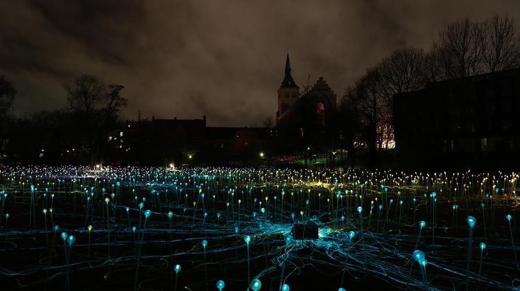 Bruce Munro, der står bag Field of Light er en af verdens mest anerkendte lyskunstnere.  Pressefoto:  Bruce Munro 