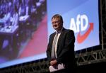 Partiet Alternative für Deutschland går efter kulturposten, hvor deres mission blandt andet er at tone ned for den negative stemning over naziperioden.  