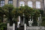Niels og Vinnie Franke lader paradisæbler og vedbend præge den gamle have i Kartoffelrækkerne i København.   