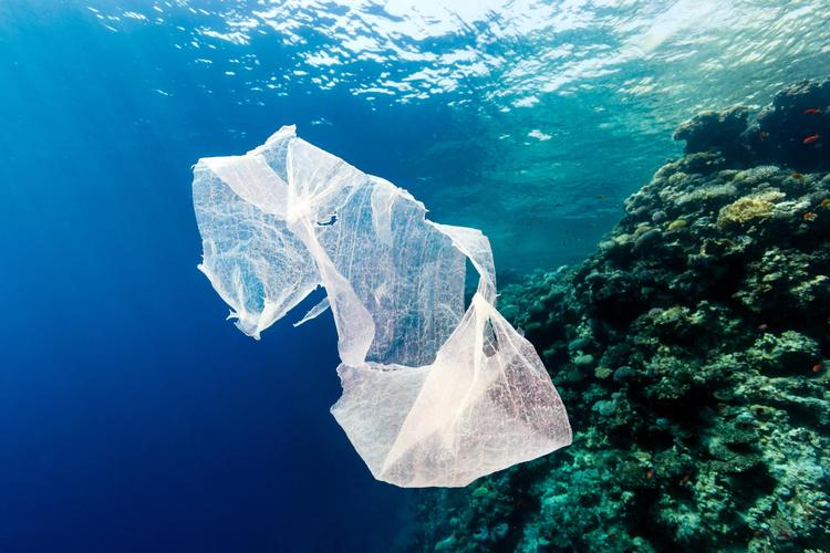 Hvert tredje koralrev i den asiatiske stillehavsregion er forurenet med plastik og når det er værst findes der op til 20 plastikstykker pr. 100 kvadratmeter koralrev. Foto: Richard Whitcombe/Alamy 