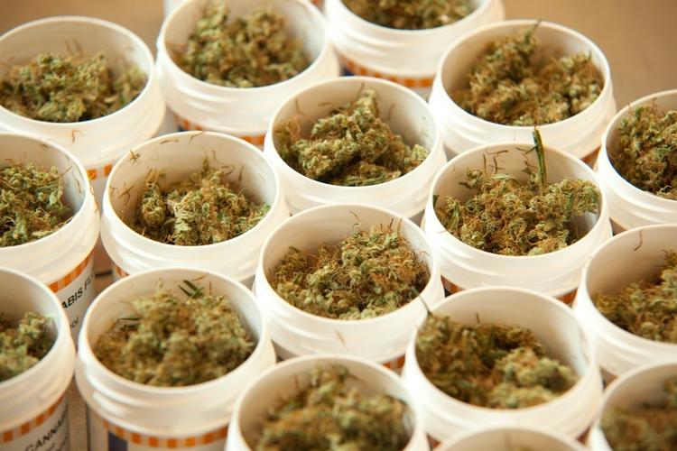 Der er to produkter med rå cannabis på markedet i Danmark. Begge kommer fra det hollandske firma Bedrocan. 