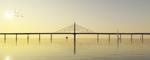 Visualiseringer af den nye Storstrømsbro med pylon set fra forskellige vinkler.  