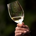 Ugens testvinder er Saint Clairs version af sauvignon blanc. Arkivfoto Jacob Ehrbahn/POLFOTO
